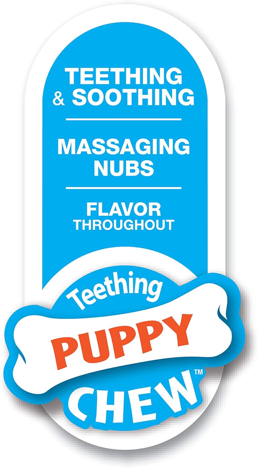 Nylabone Puppy Teething Dino Chicken - Small
