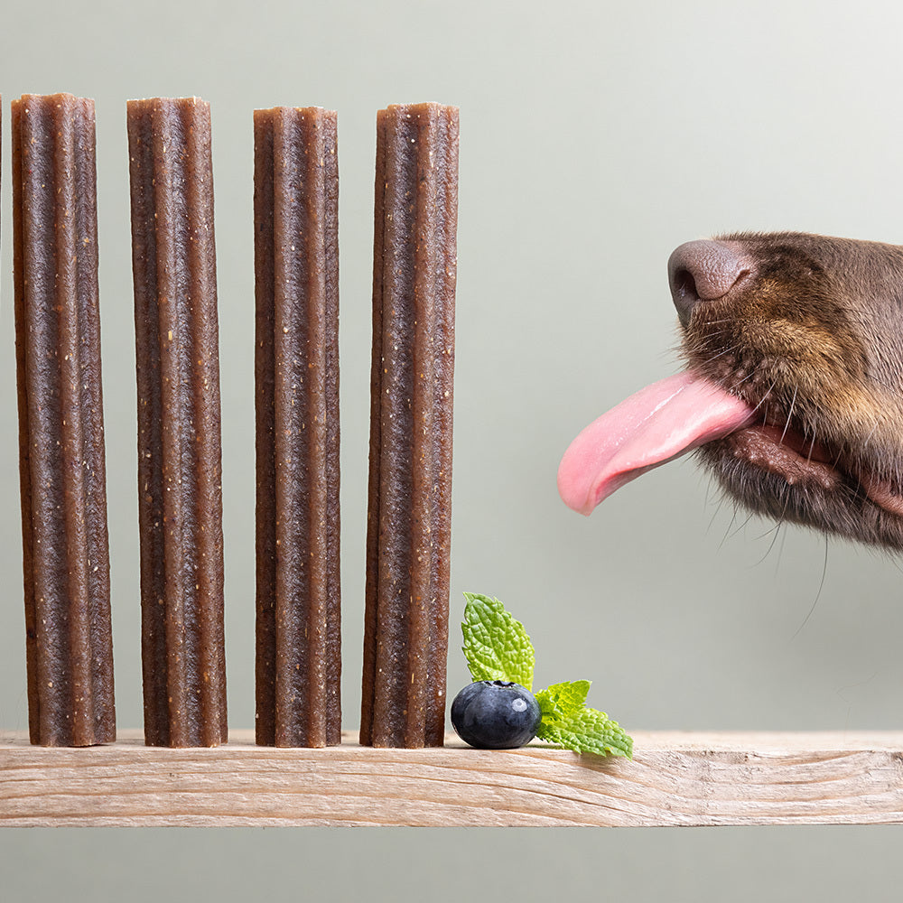 Arden Grange Dental Stick with Mint & Superfoods