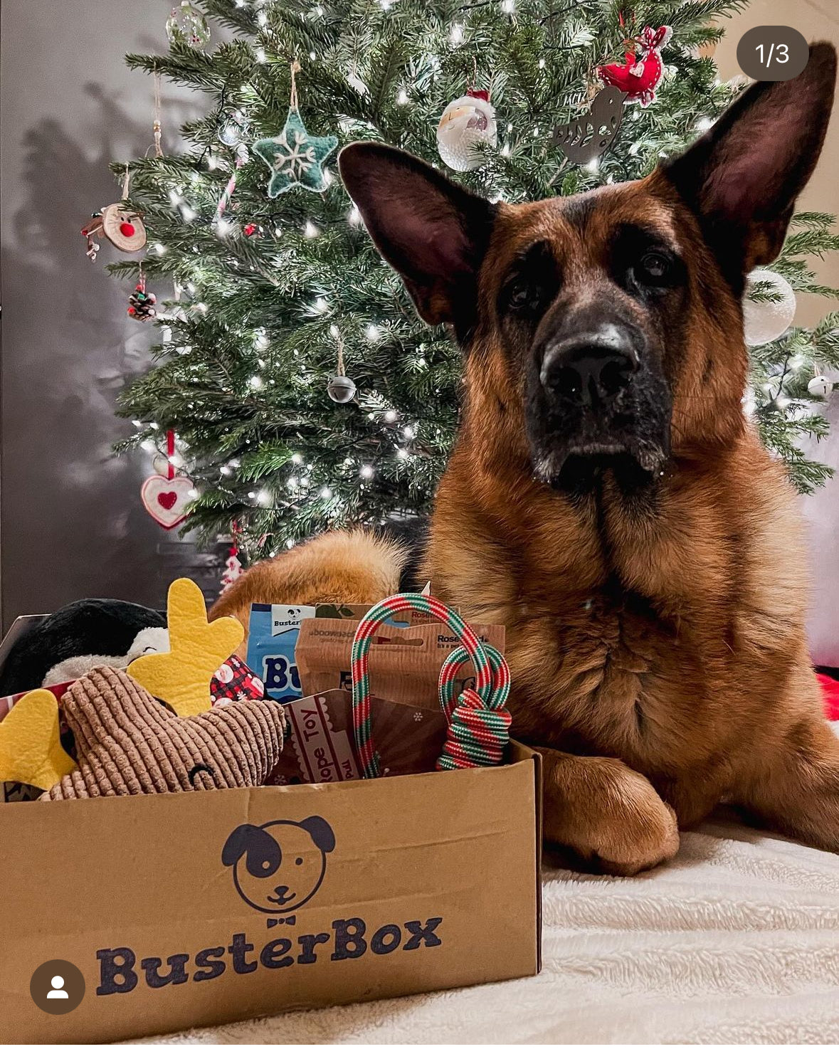 Christmas Upgraded Mystery Box