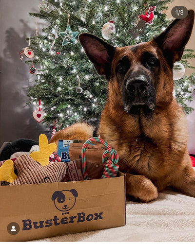 Christmas Upgraded Mystery Box