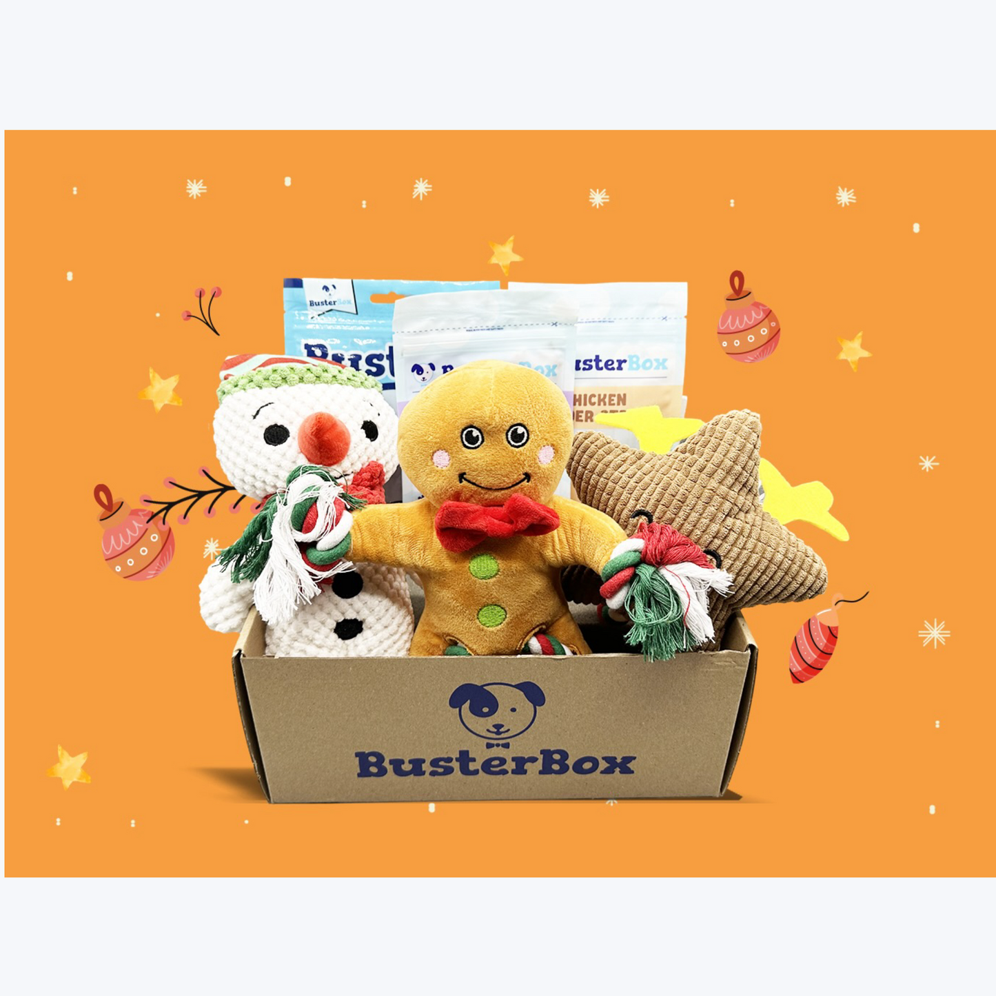 Christmas Upgraded Mystery Box