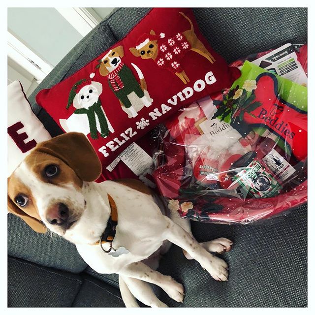 Doggy Christmas Hamper Deluxe