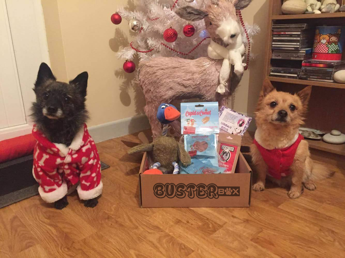 BusterBox Doggy Gift Card
