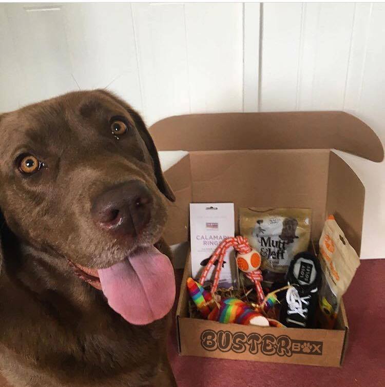 BusterBox Doggy Gift Card