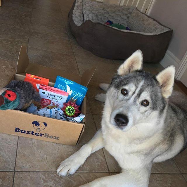 Christmas Upgraded Mystery Box