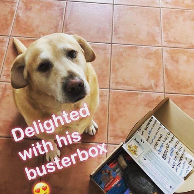 BusterBox Doggy Gift Card