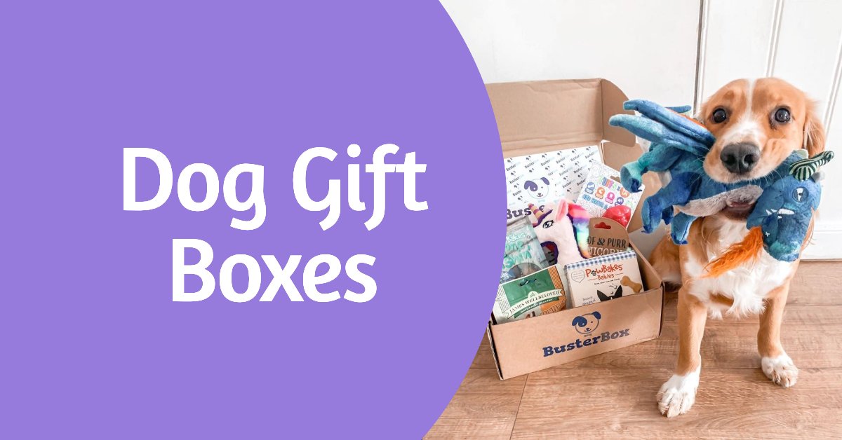 Gift Boxes For Dogs