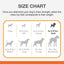 Nylabone Puppy Teething Dino Chicken - Small