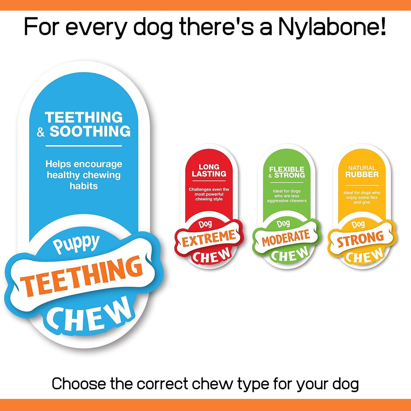 Nylabone Puppybone Chew Starter Kit - 3 pack