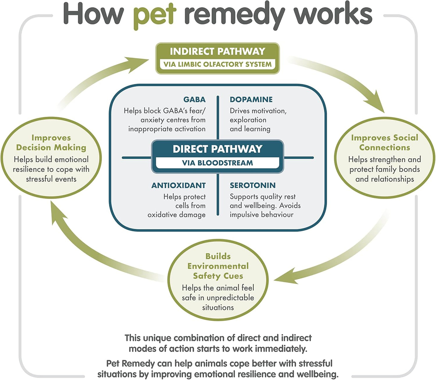 Pet Remedy All in One Calming Kit