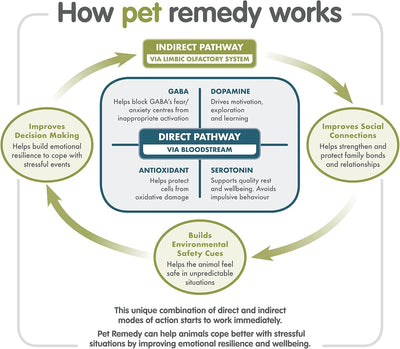 Pet Remedy All in One Calming Kit