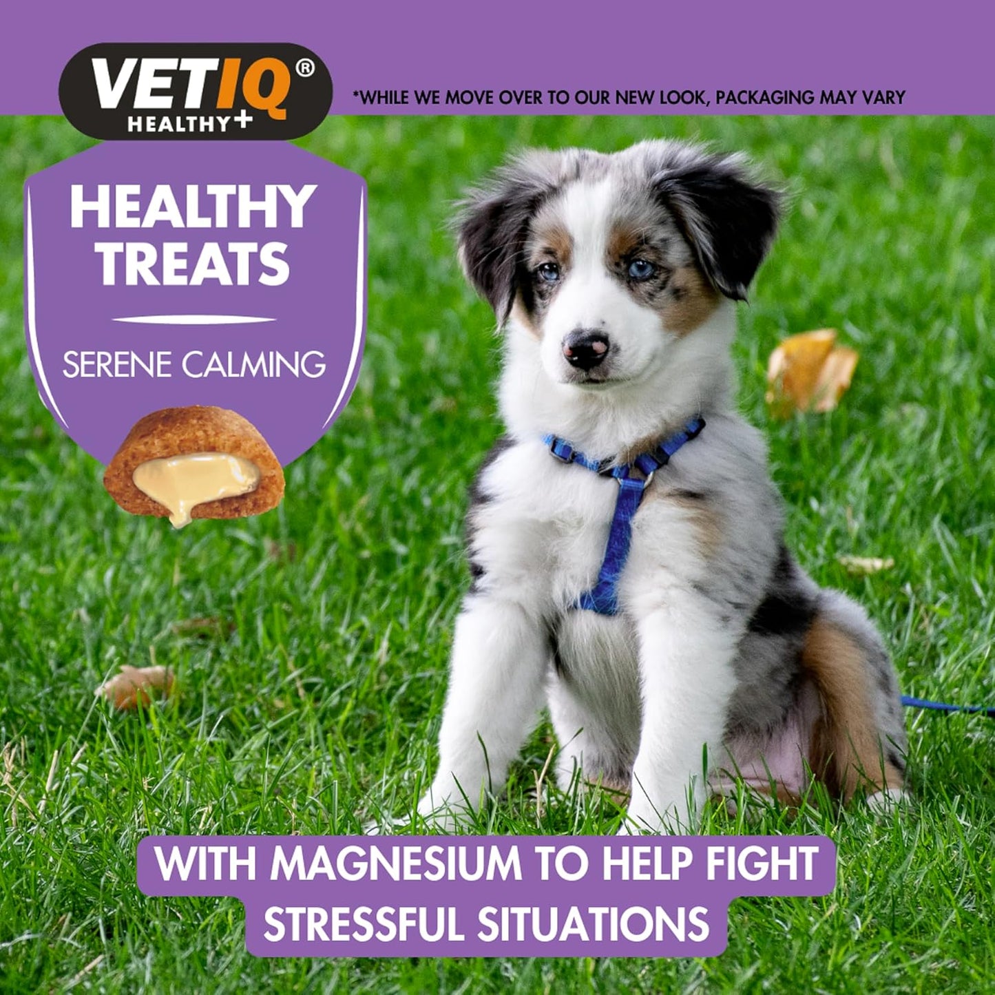 VETIQ Healthy Treats Serene Calming Puppy & Dog 50g