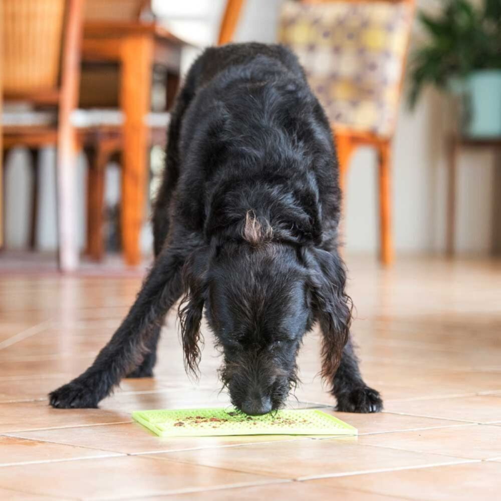 Lickimat Soother Dog Treat Mat Green 25cm