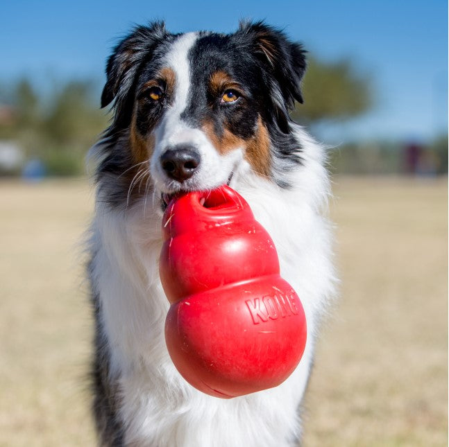 KONG Bounzer - Red Medium 6"