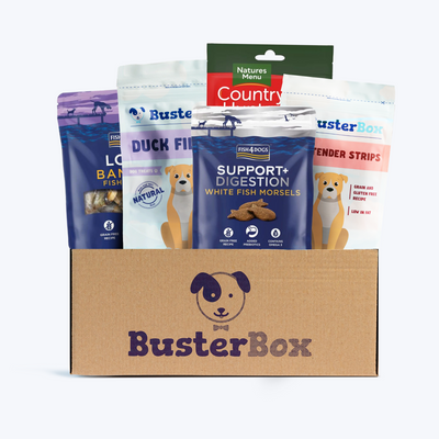 BusterBox Treat Bundle