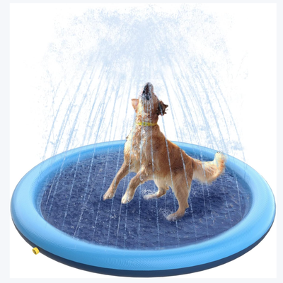 Dog Splash Pad