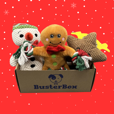 Christmas Mystery Toy Bundle