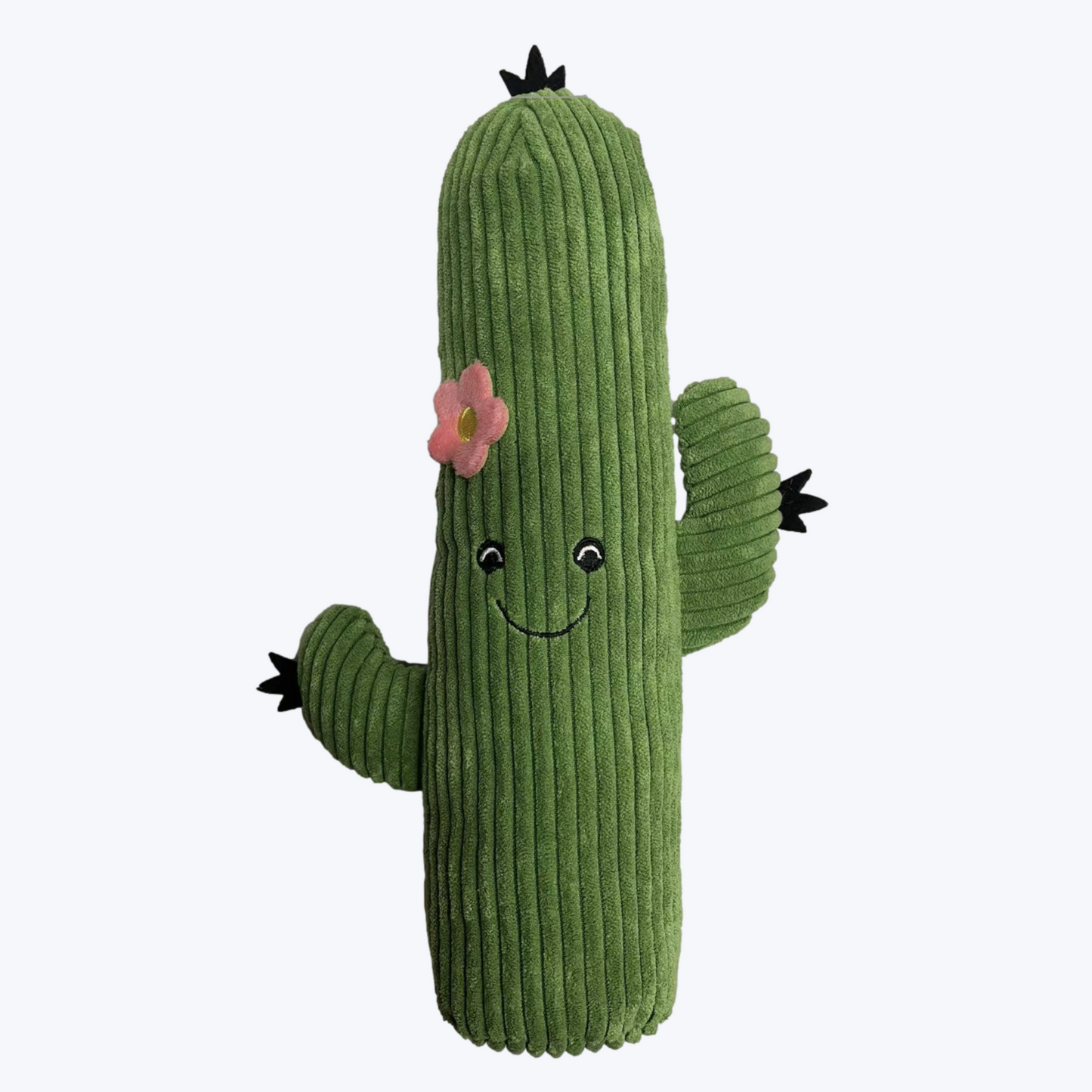 BusterBox mexican cactus