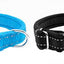Personalized Engraved Premium Dog Collar