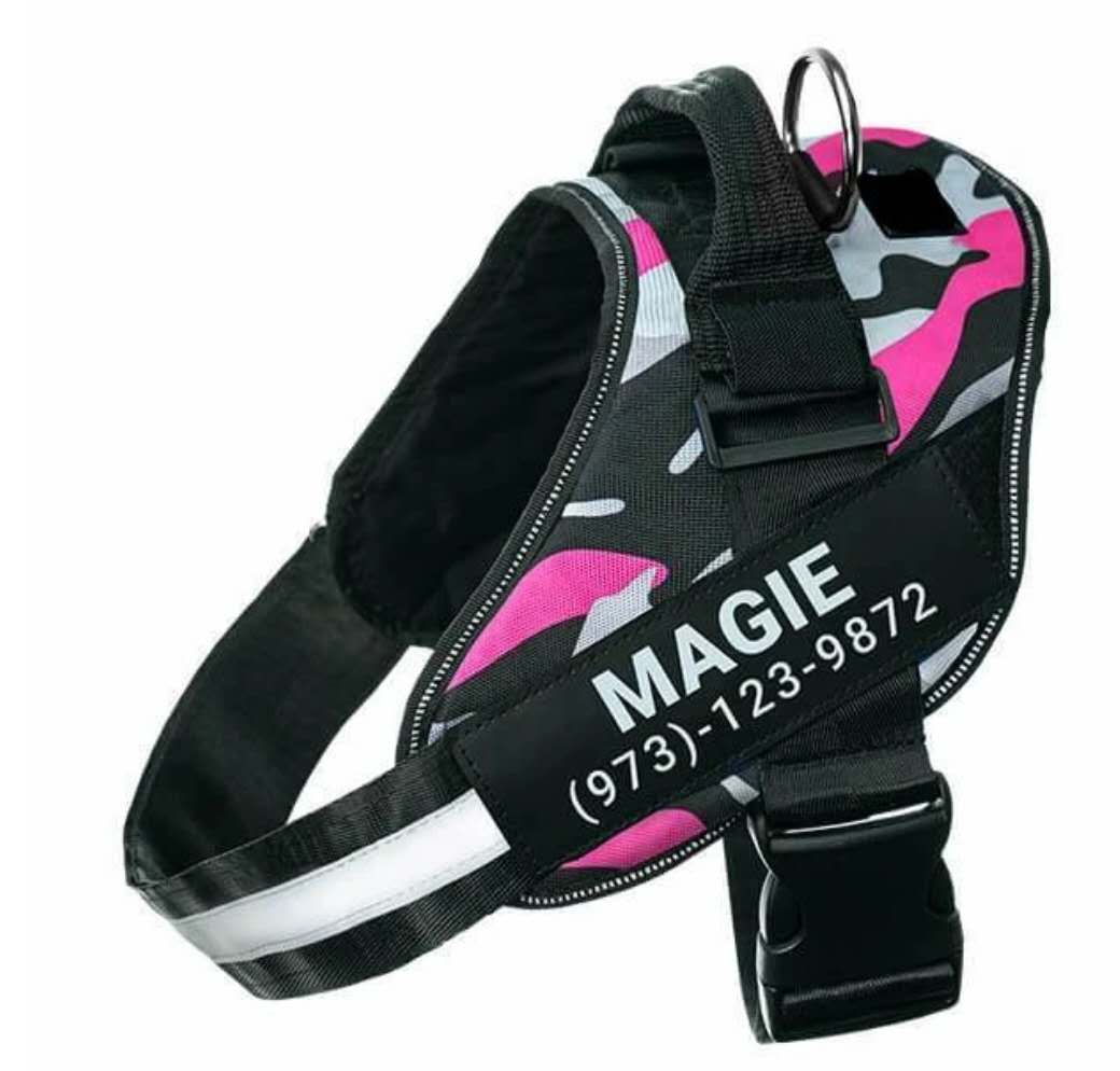 Personalize Dog Harness With Dog Name