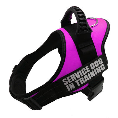 Personalize Dog Harness With Dog Name