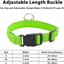 Vibrant LED Dog Collar