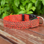 LED Nylon Leopard Pet Collar