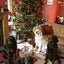 Doggy Christmas Hamper Deluxe