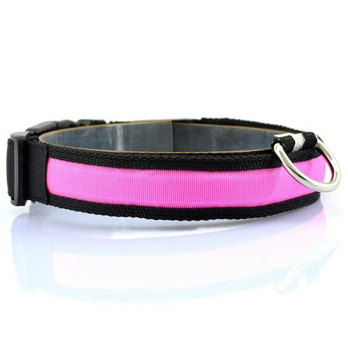 Vibrant LED Dog Collar