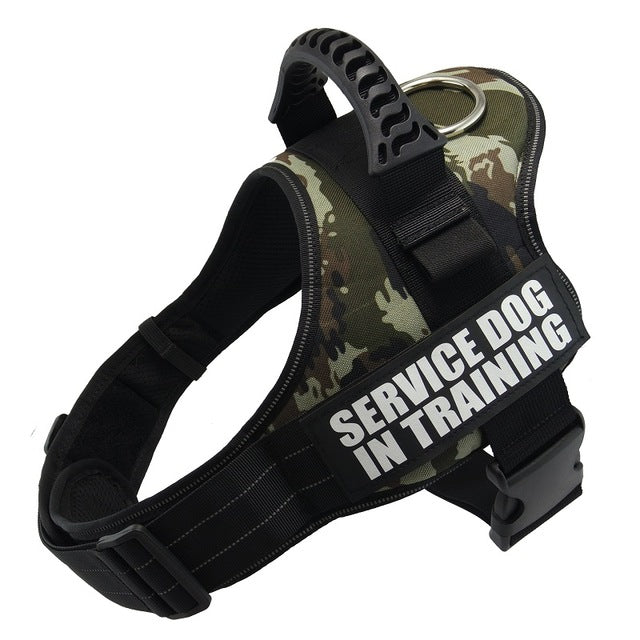 Personalize Dog Harness With Dog Name