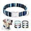 Personalized Engraved Premium Dog Collar