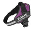 Personalize Dog Harness With Dog Name
