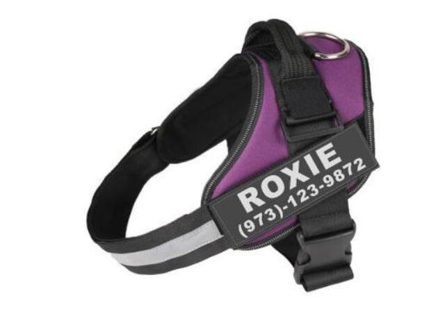 Personalize Dog Harness With Dog Name