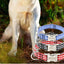 Personalized Engraved Premium Dog Collar
