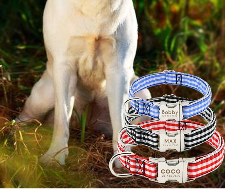 Personalized Engraved Premium Dog Collar