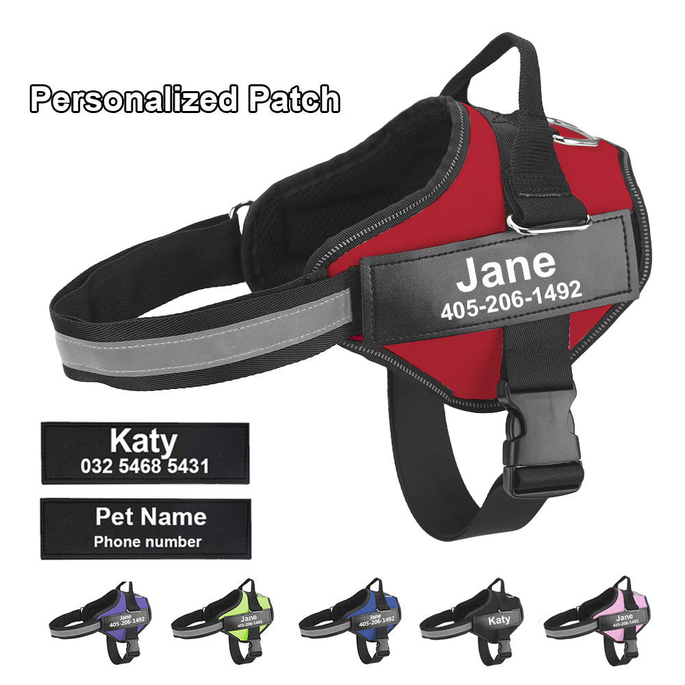 Personalize Dog Harness With Dog Name