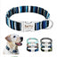 Personalized Engraved Premium Dog Collar